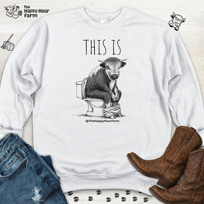 This Is Barry Sweatshirt