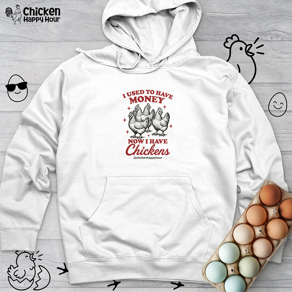 I Used to Have Money Hooded Sweatshirt