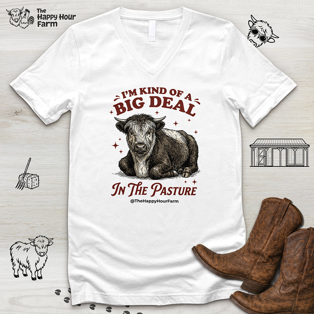 I'm Kind Of a Big Deal V-Neck Tee