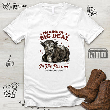 I'm Kind Of a Big Deal V-Neck Tee
