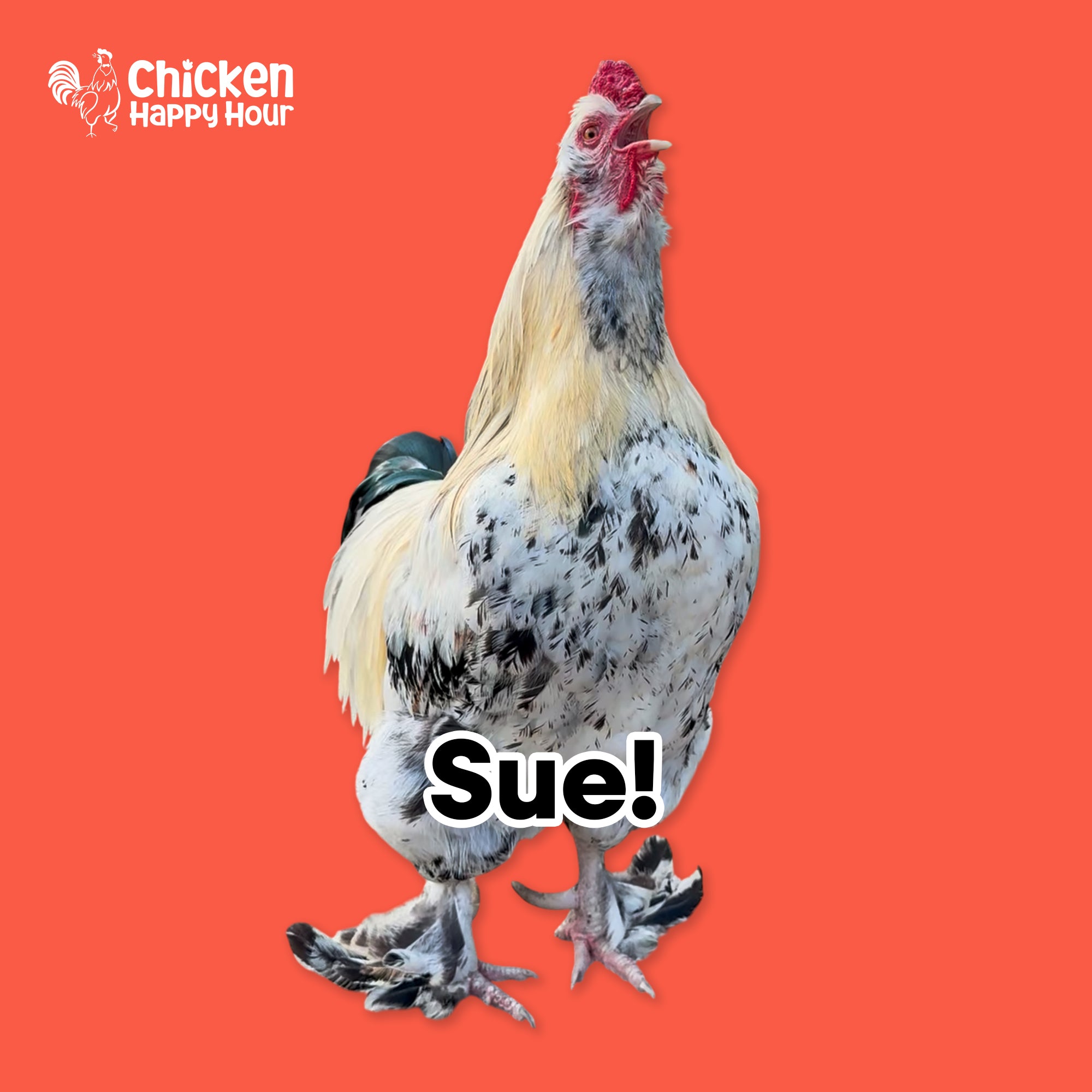 Sue Susie Ringtone